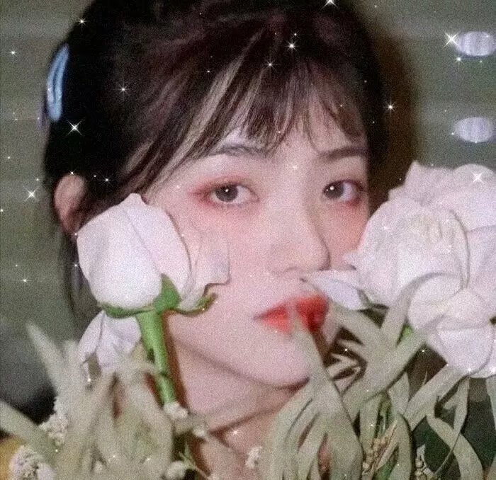布劳涅森林的女人们
